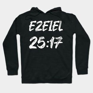 Ezekiel 25 17 Hoodie